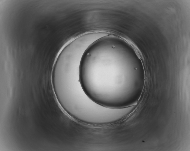 X0000085220813200703090827