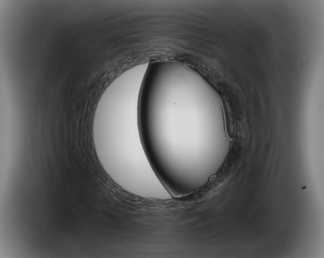 X0000085220818200703090826