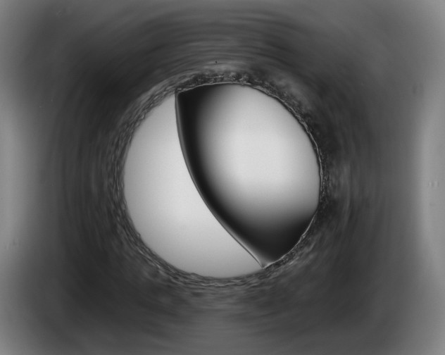 X0000085220821200703090826