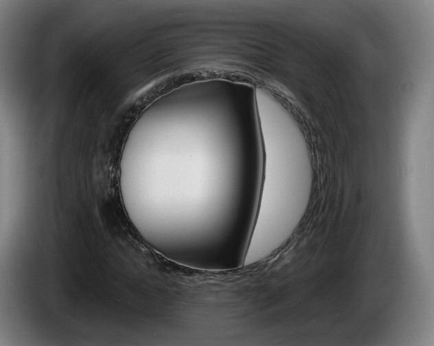 X0000085220822200703090826