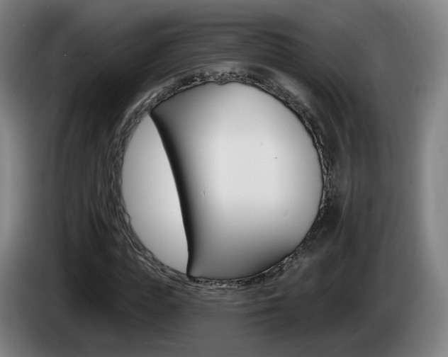 X0000085220823200703090826