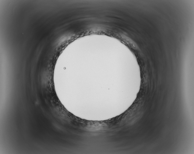 X0000085220824200703090826