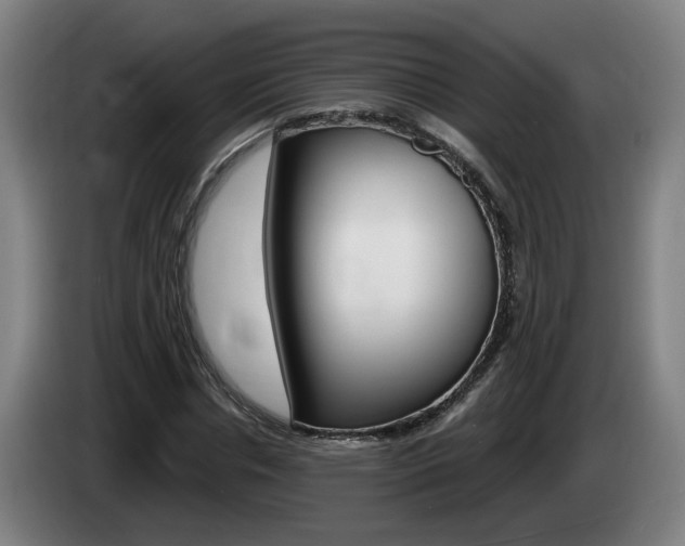 X0000085220826200703090826