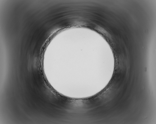 X0000085220828200703090826