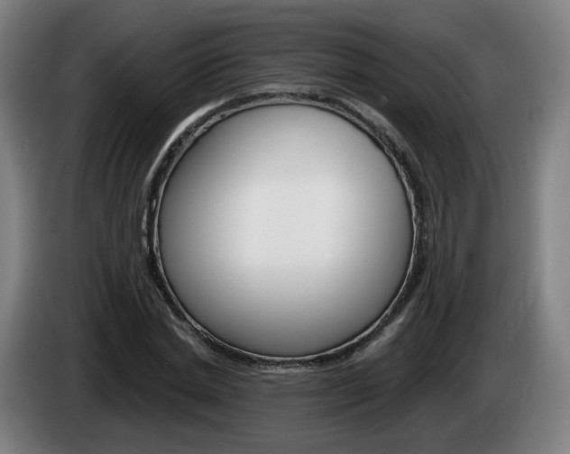 X0000085220830200703090826