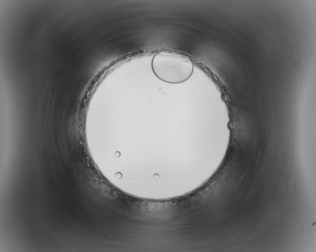 X0000085220832200703090826