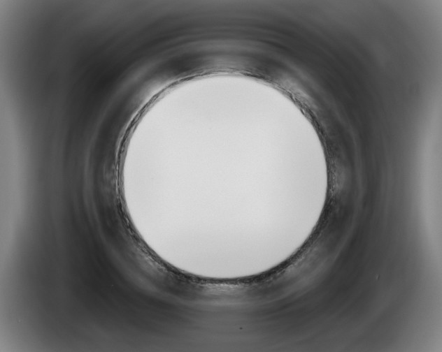 X0000085220836200703090826