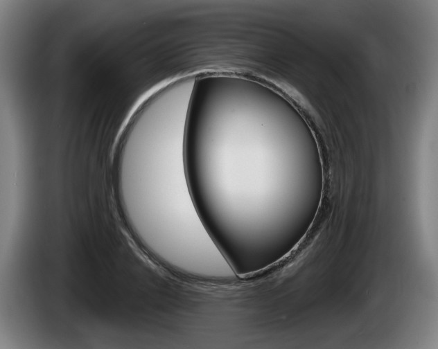 X0000085220838200703090826