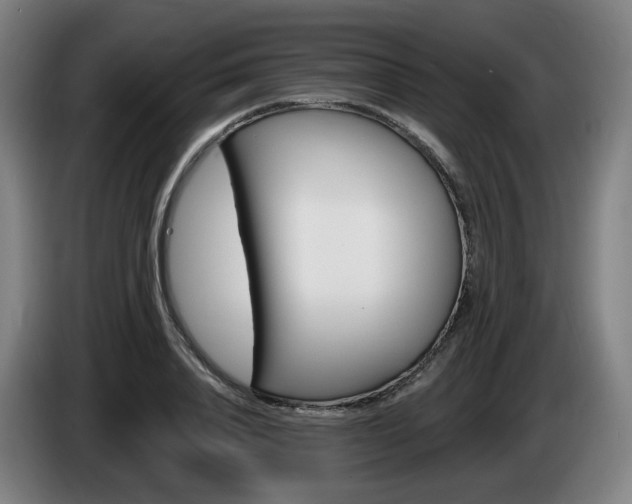 X0000085220840200703090826
