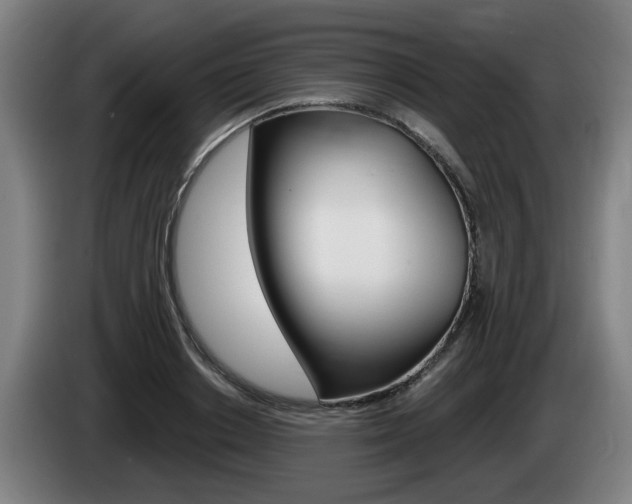 X0000085220842200703090826