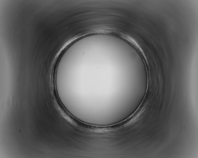 X0000085220843200703090826