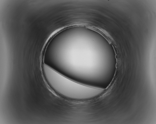 X0000085220846200703090826