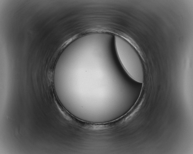 X0000085220849200703090826