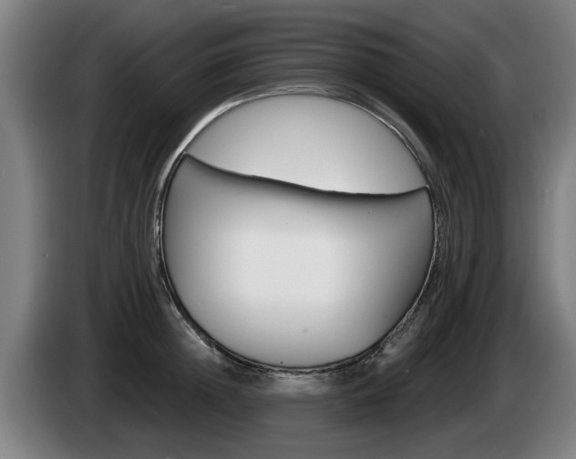 X0000085220852200703090826