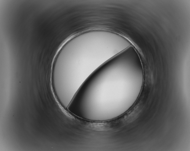 X0000085220853200703090826