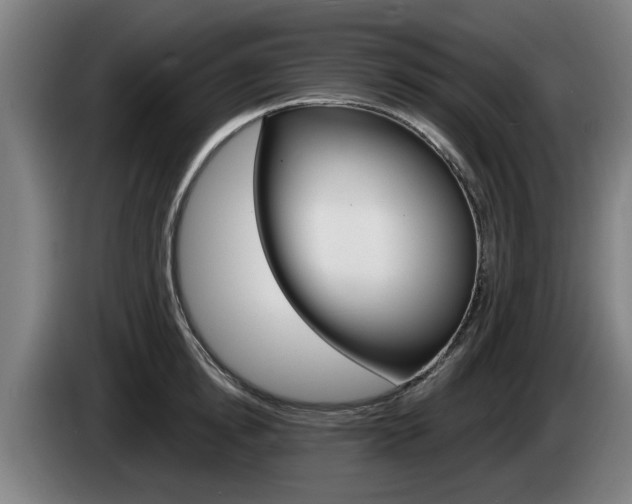 X0000085220854200703090826