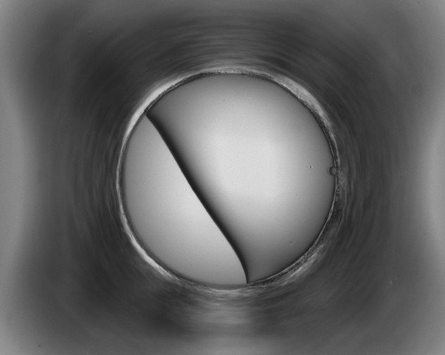 X0000085220855200703090826