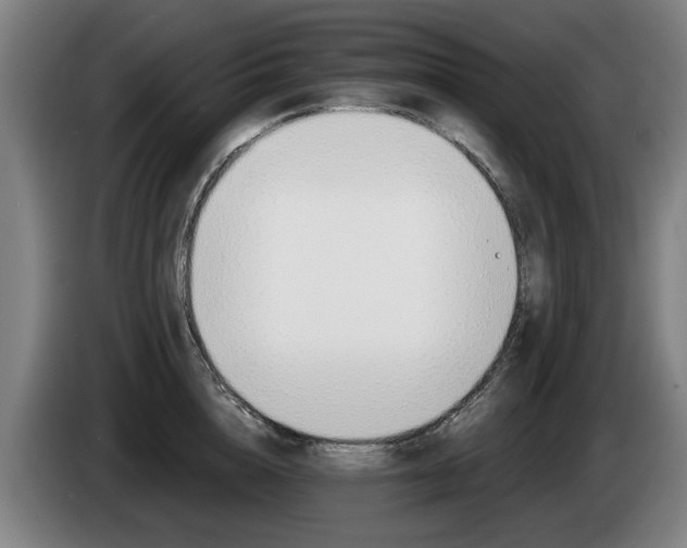 X0000085220856200703090826