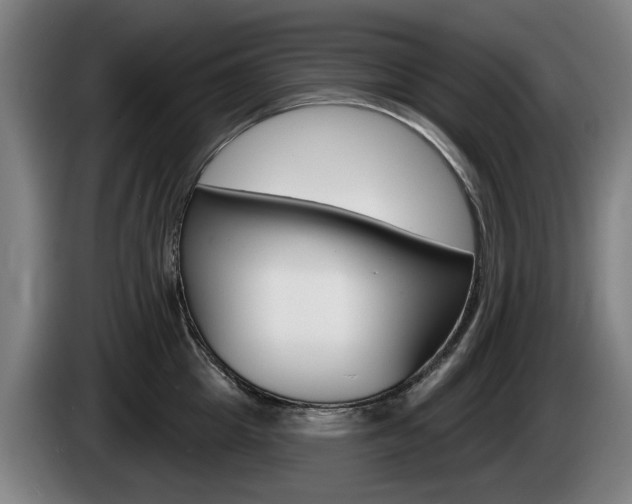 X0000085220857200703090826