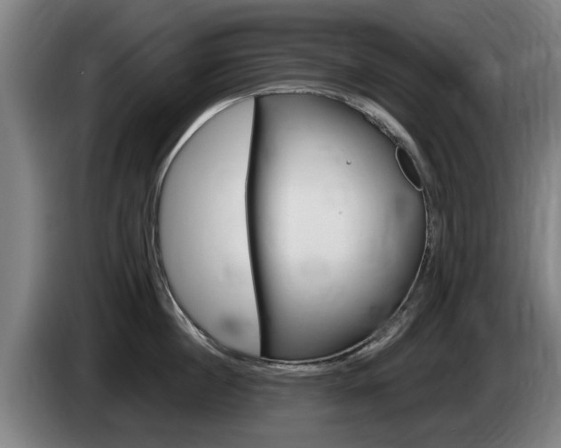 X0000085220860200703090826