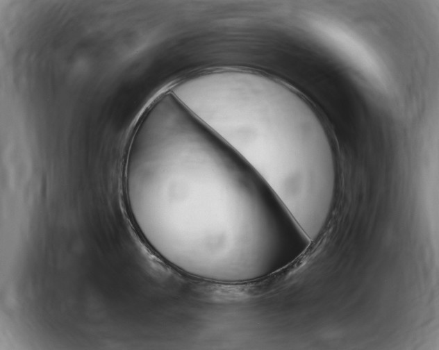 X0000085220861200703090826
