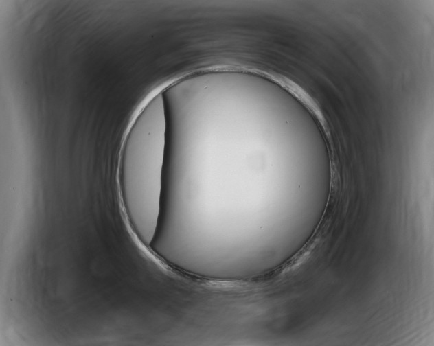 X0000085220863200703090826