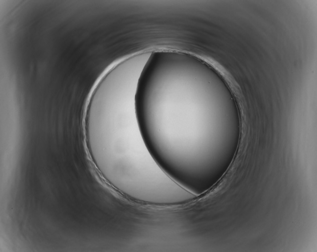 X0000085220864200703090826