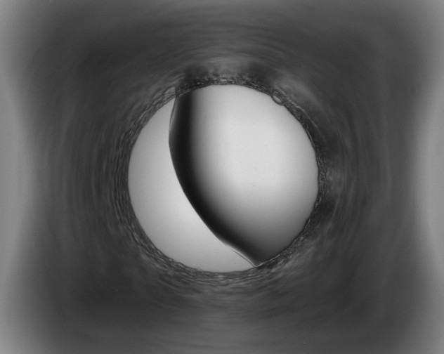 X0000085220865200703090826