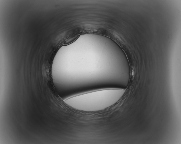 X0000085220867200703090826