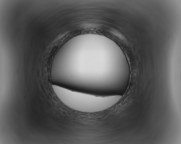 X0000085220869200703090826