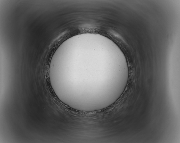 X0000085220870200703090826