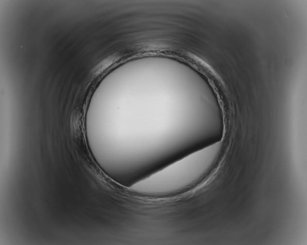 X0000085220873200703090826