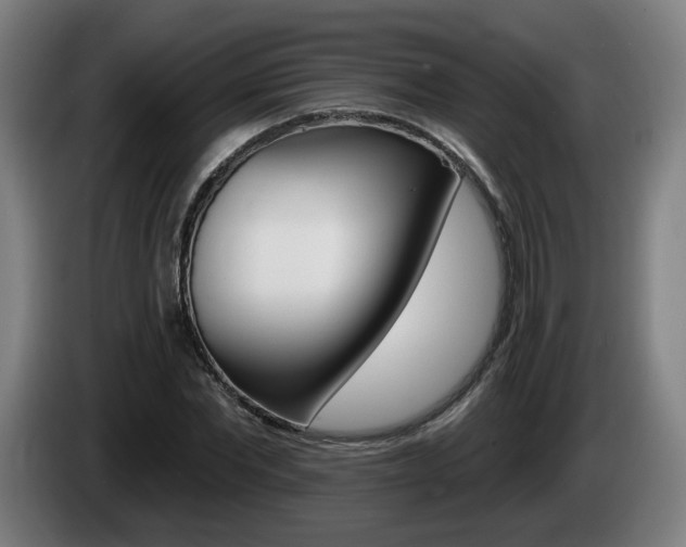 X0000085220877200703090826