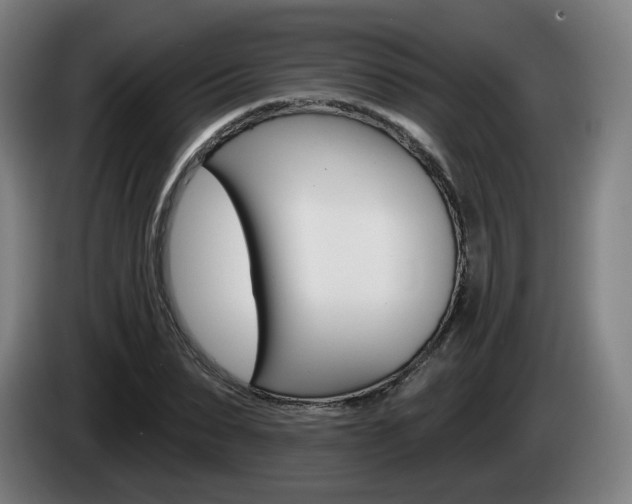 X0000085220879200703090826