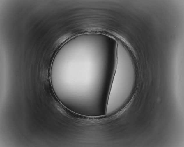 X0000085220881200703090826
