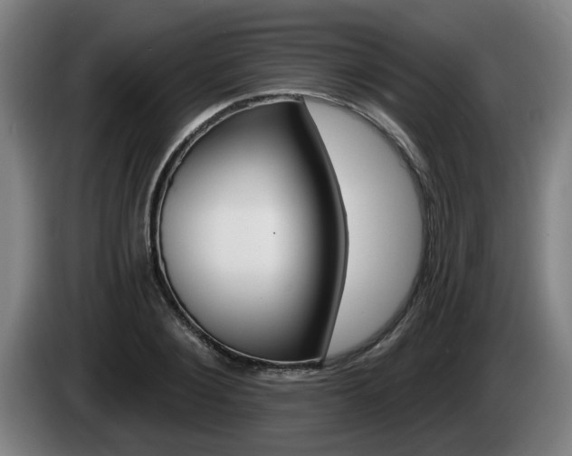 X0000085220884200703090826