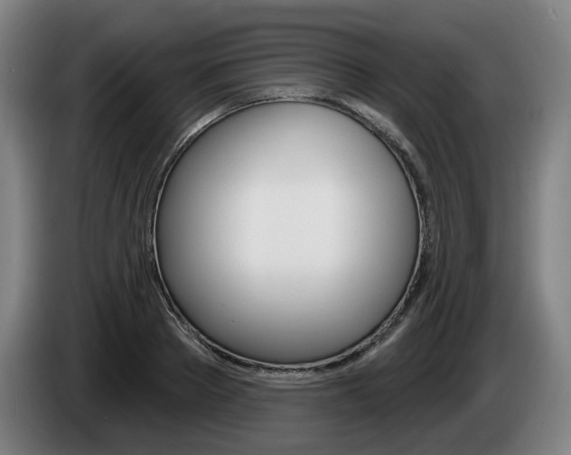 X0000085220889200703090826