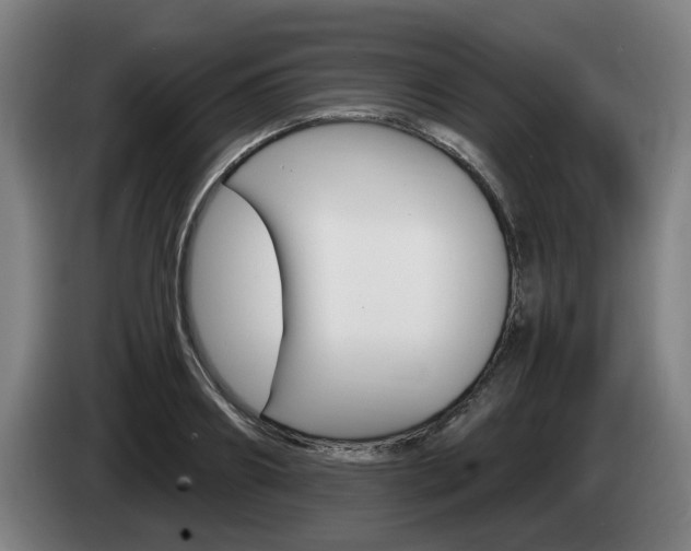 X0000085220890200703090825