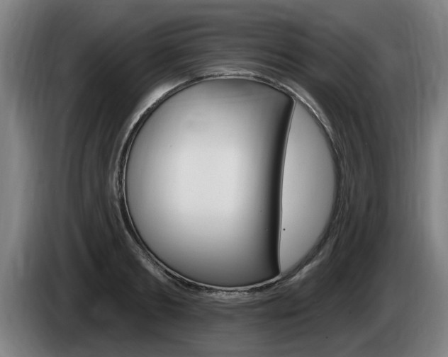 X0000085220893200703090825