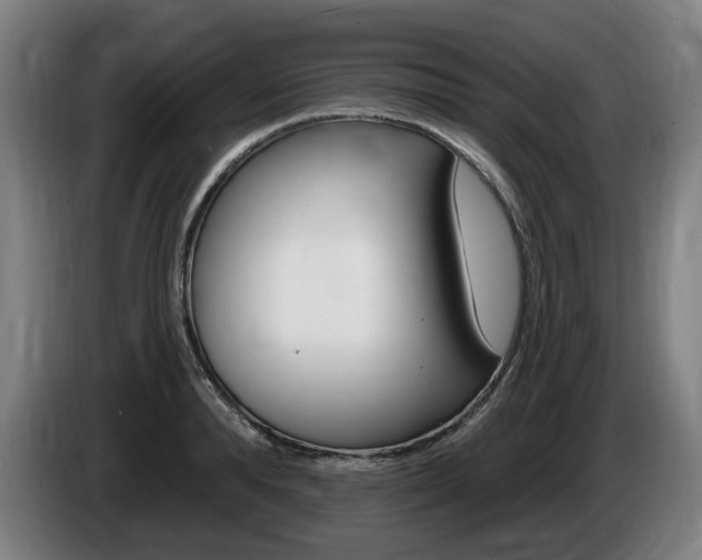 X0000085220896200703090825