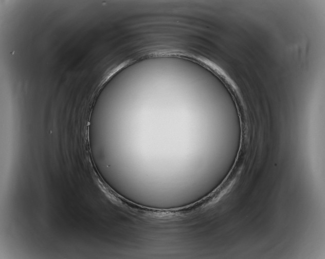 X0000085220897200703090825