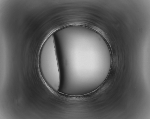 X0000085220898200703090825