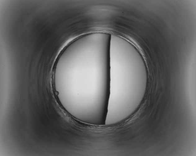 X0000085220899200703090825