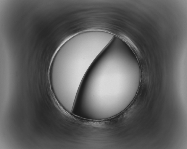 X0000085220900200703090825