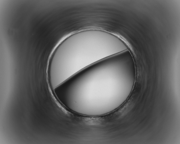 X0000085220902200703090825