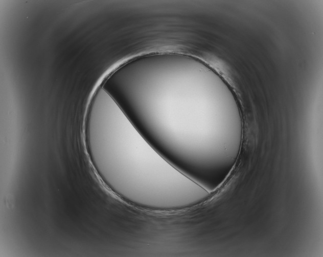 X0000085220904200703090825