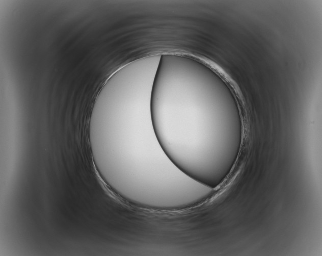 X0000085220905200703090825