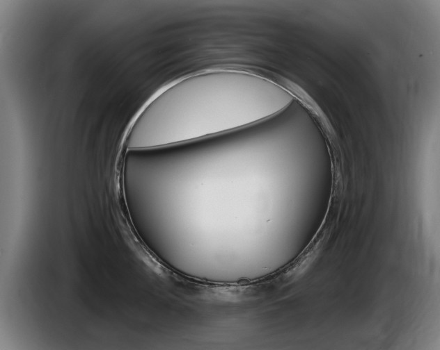 X0000085220908200703090825