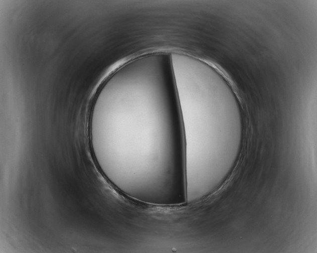 X0000085220910200703090825