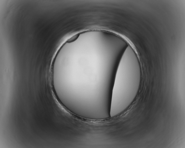 X0000085220911200703090825